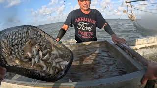 South Texas Shrimping #58 Tôm Nam Texas