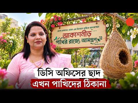 পাখিদের জন্য সরকারি এই ভবনের ছাদে ‘আকাশনীড়’ | DC Office | Rooftop Garden | Prothom Alo