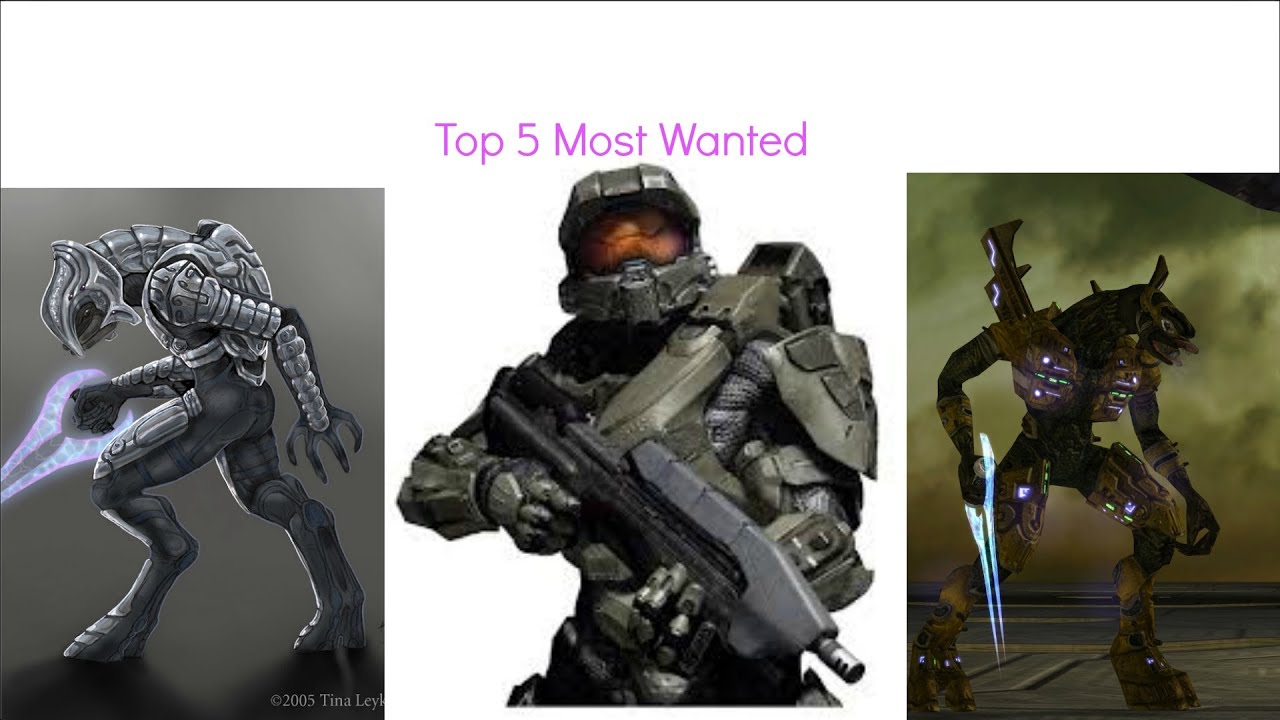 Halo Mega Bloks Top 5 Most Wanted figures (Fan Perspective)