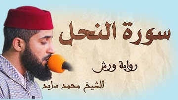 سورة النحل | تلاوة هادئة ومتقنة للشيخ محمد سايد | برواية ورش