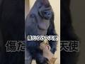 ㊗️キヨマサは傷だらけの天使🎵