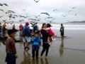 Pesca en Playas de Villamil. Guayas Ecuador.