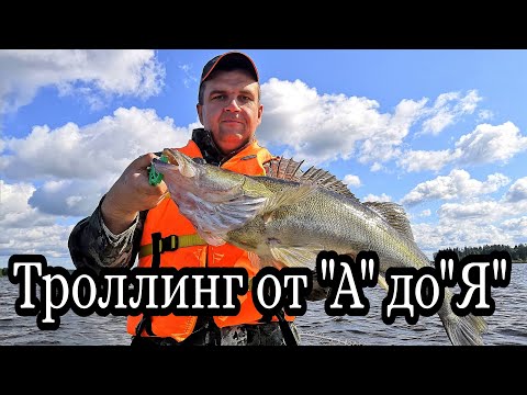 Видео: Моторы троллинга пугают рыбу?