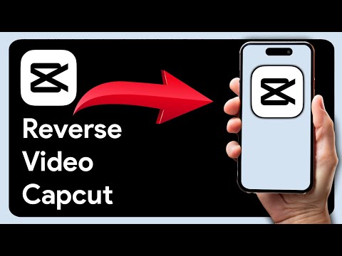 How To Reverse Video In CapCut PC (2025)