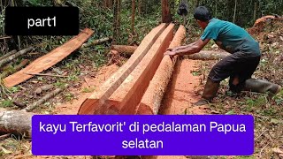 PART1 ‼️KAYU TERFAVORIT DI PEDALAMAN PAPUA SELATAN #viral#video#videos#viralvideo#kayu#chainsawman