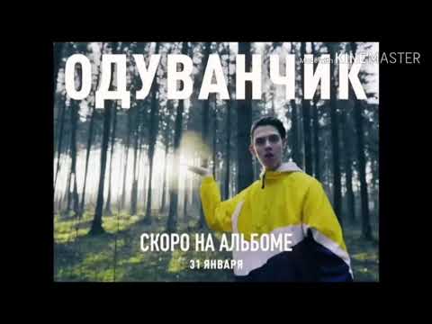 Тима Белорусских одуванчик