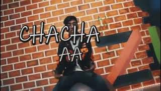 Hum tera chacha hai tu sala chakka hai song