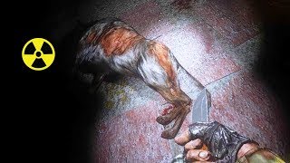 НЕОЖИДАННАЯ ВСТРЕЧА С СОБАКОЙ. STALKER DEAD AIR - РЕЖИМ ПОСЛЕДНИЙ ВЫЖИВШИЙ #6 НЕОЖИДАННАЯ ВСТРЕЧА С СОБАКОЙ. STALKER DEAD AIR - РЕЖИМ ПОСЛЕДНИЙ ВЫЖИВШИЙ #6