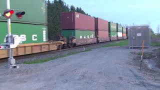 CP #118/ CP#6252,CP#6223/ RUNDLE RD. :