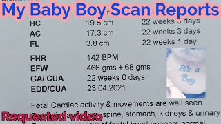 My Boy Baby Scan Reports|Anamoly Scan|Tiffa scan|2nd pregnancy|Pregnancy tips|Aayushi RS