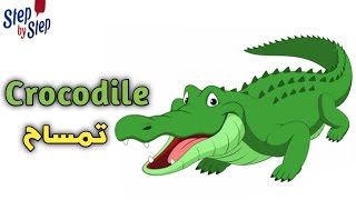 نطق كلمة Crocodile تمساح 🗣️