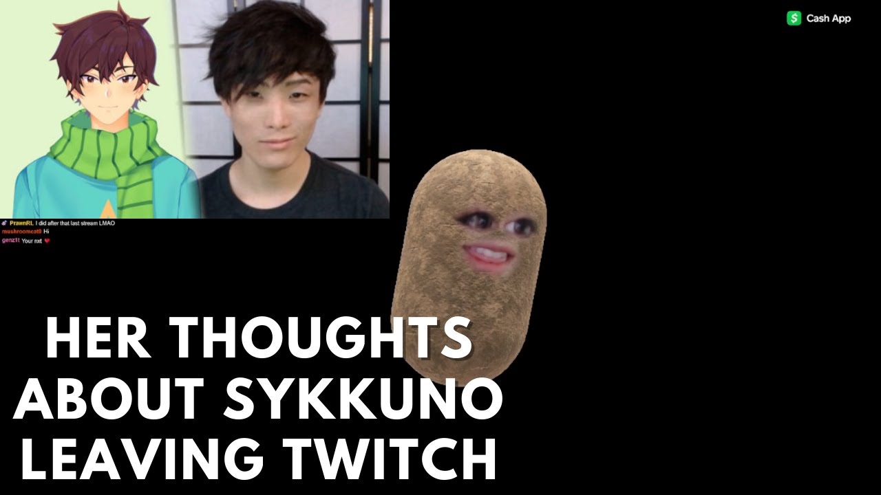 Fuslie's thoughts about sykkuno leaving twitch