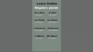 Singolare e Plurale | Simple way of Learning Italian | Learn Italian Easy Way  #learningitalian