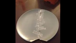 Relationship Repair After Damage
