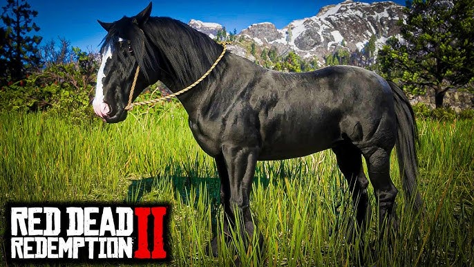 RED DEAD REDEMPTION 2 : DOMAMOS O MELHOR CAVALO DO JOGO! ( PS4 PRO PT-BR )  : EP.10 