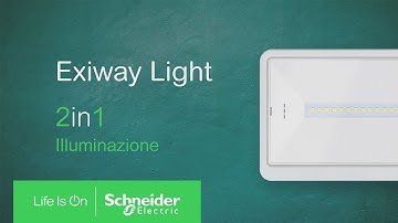 Exiway Light: funzione segnalazione integrata | Schneider Electric Italia