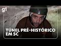 JH: Túnel pré-histórico encontrado em SC foi escavado por tatus e preguiças gigantes