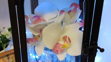 HOW TO STYLE A LANTERN/SPRING LANTERN COLLAB 2021