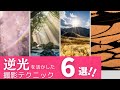 逆光は勝利！写真を劇的に変える6つのテクニック