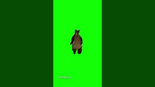 Bear Chasing Person Down Hall - Green Screen