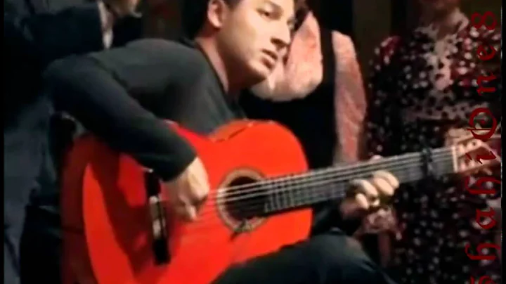 Amazing Flamenco Guitarist |Buleria