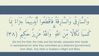 ﴿وَالسَّارِقُ وَالسَّارِقَةُ فَاقْطَعُوا أَيْدِيَهُمَا﴾ أحمد العجمي Ahmad Alajmy