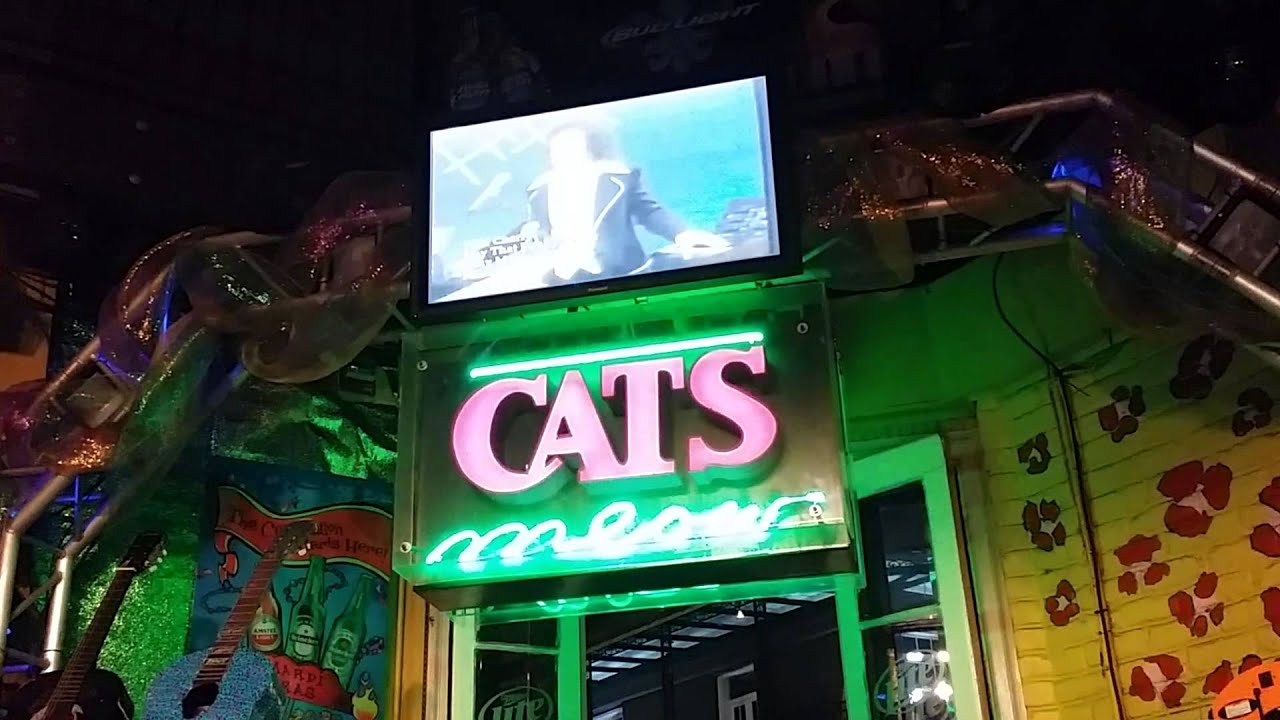 New Orleans Cats Meow - YouTube