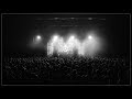 Frequency 2018 Visuals - Night Park
