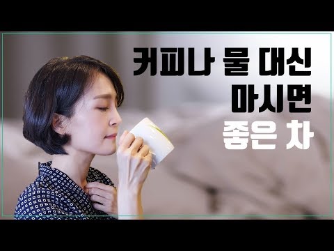 건강음료 추천