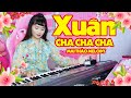 Liên Khúc Nhạc Xuân Không Lời Cha Cha Cha Chào Xuân Nhâm Dần 2022 Sôi Động - Mai Thảo Melody #1