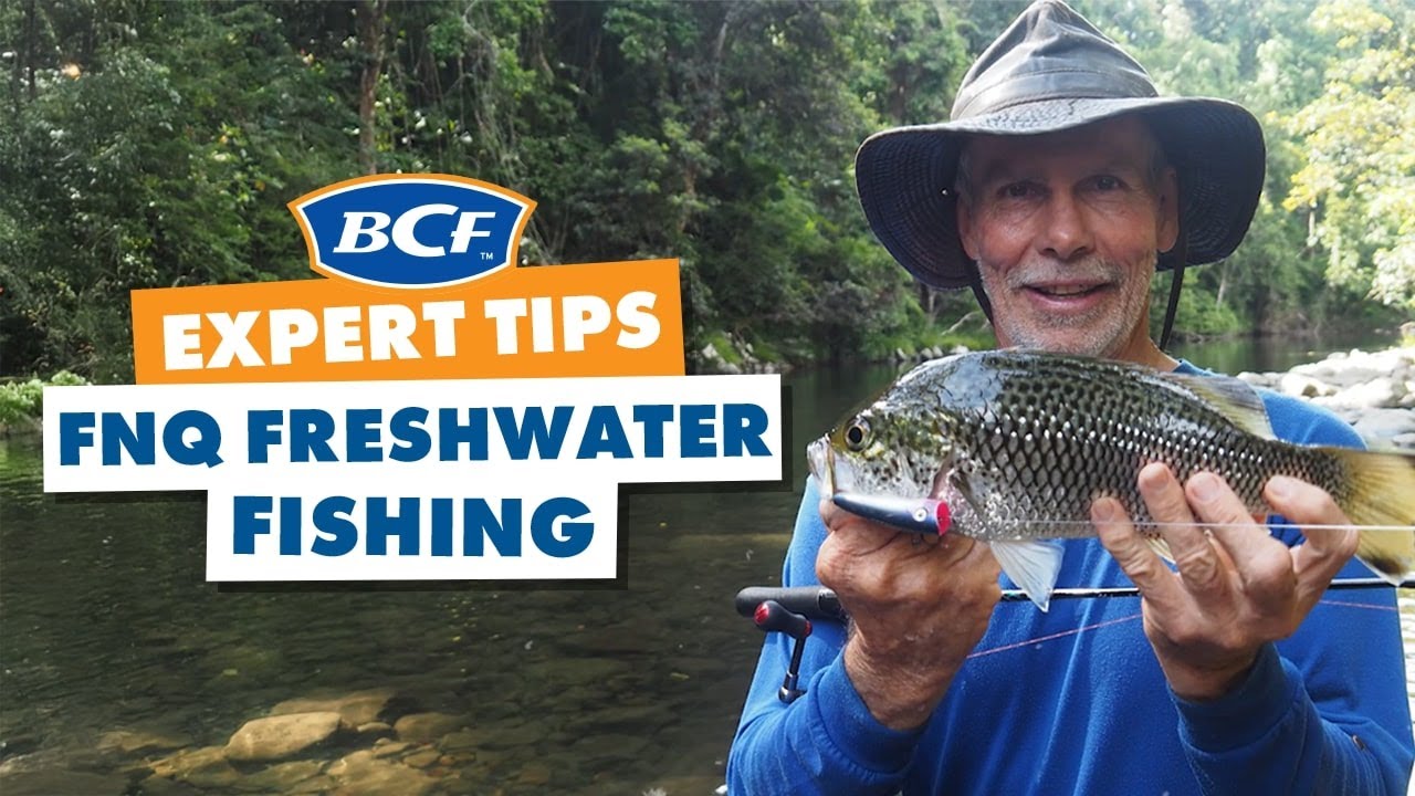 Freshwater Fishing Mission in FNQ Rainforest