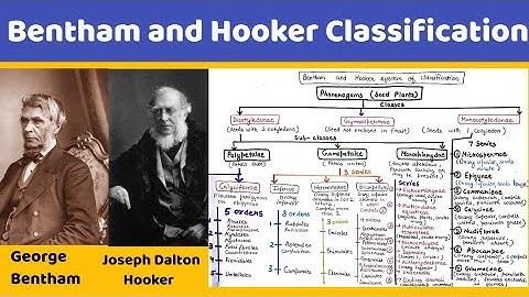 Bentham and Hooker classification ( in Hindi )