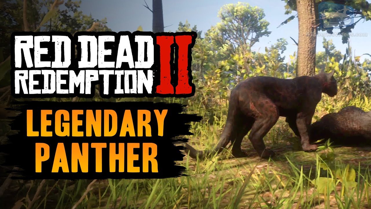 Red Dead Redemption 2 Animal - Legendary "Giaguaro" Panther - YouTube