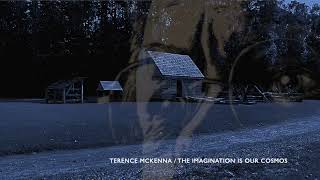 TERENCE MCKENNA - THE IMAGINATION IS OUR COSMOS ★ BEDTIME STORIES FOR ADULTS