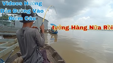 Câu Cá Trên Bè, Hướng Dẫn Đường Vào Điểm Câu Làng Bè Cây Me | Trần Đại Fishing