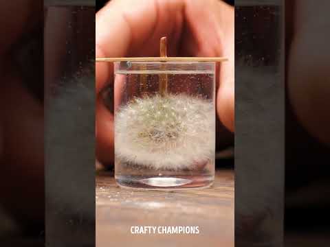 We Turned Dandelion Into Stunning Jewelry 🌸