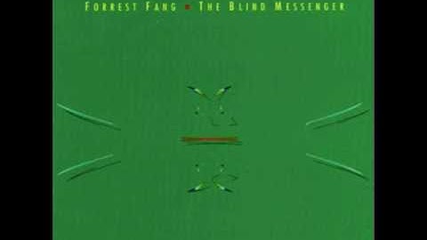 Forrest Fang - The Shifting Envelope