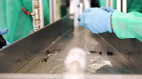 Biopelle Tensage Growth Factors & Stem Cell - The Story of Snails