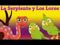 La Serpiente y Los Loros (Snake & the Parrots) | Cuentos Infantiles | ChuChu TV Cuentacuentos