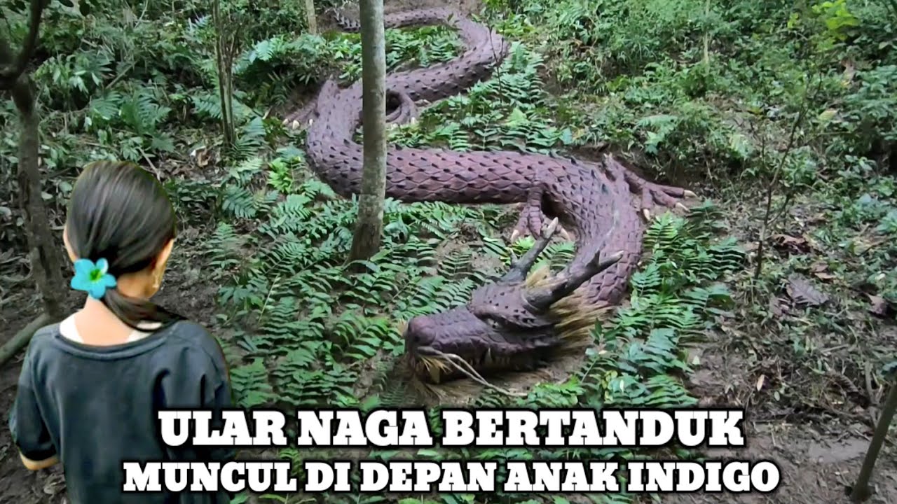 Erotik va pornografik giflar