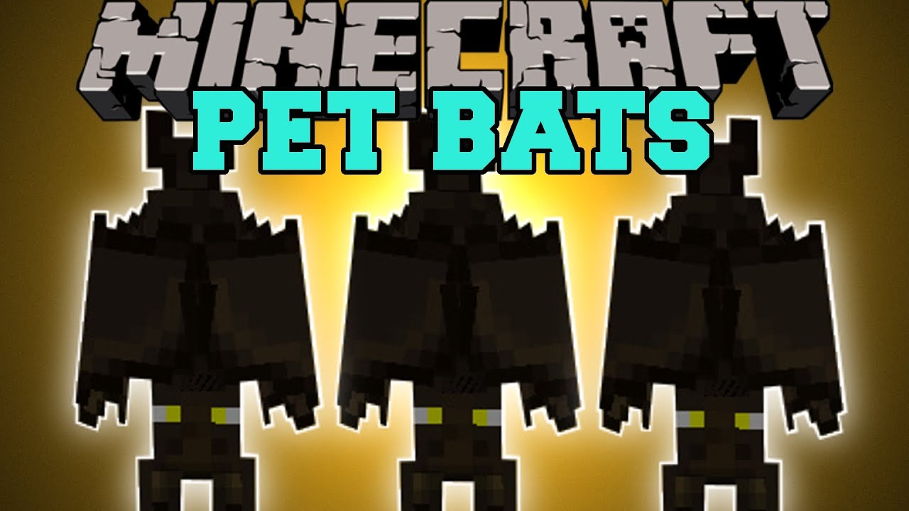 Minecraft Pet Bats Fight Level Up Abilities Pet Bats Mod Showcase Youtube
