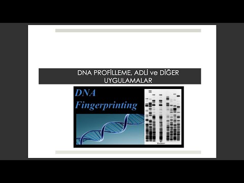 #biyoloji #genel biyoloji BÖLÜM 12: DNA Profilleme, Adli Tıp ve Diğer Uygulamalar-1 #genel biyoloji