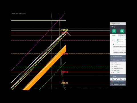 Markettamer stock options training