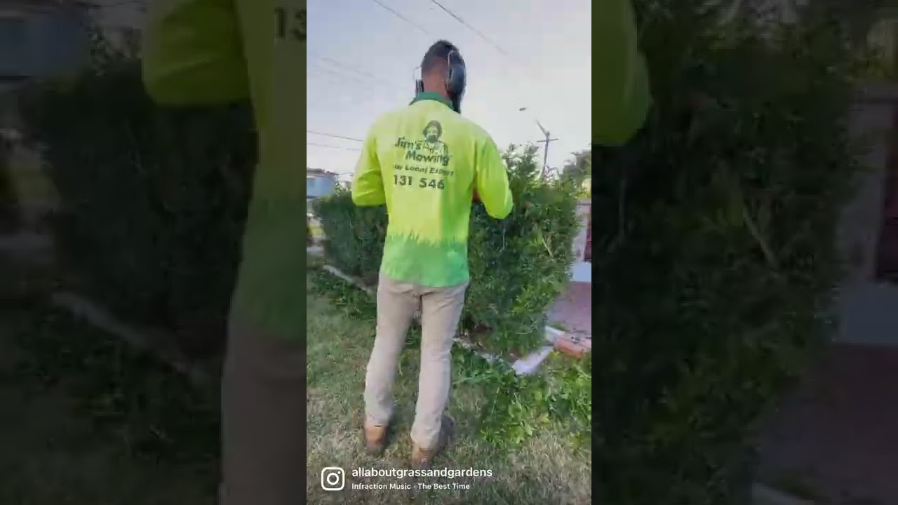 Can Jim's Mowing trim hedges?