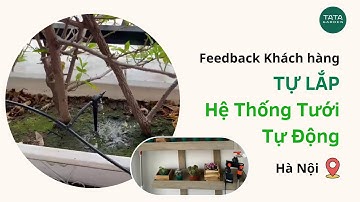 Tự lắp hệ thống tưới cây tự động ban công tại Hà Nội
