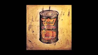 Video thumbnail of "TOAD THE WET SPROCKET - Good Intentions"