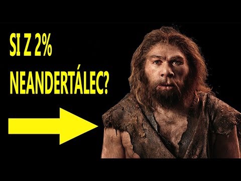 Video: Zmizli Neandertálci, Pretože Ich Jedli ľudia? - Alternatívny Pohľad