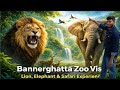 “Bannerghatta Zoo Vlog | Lion, Deer &amp; Elephant Up Close”