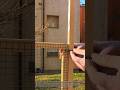 Tiny Fence Upgrade That Makes a HUGE Difference! | DIY Wooden Wire Fence Hack