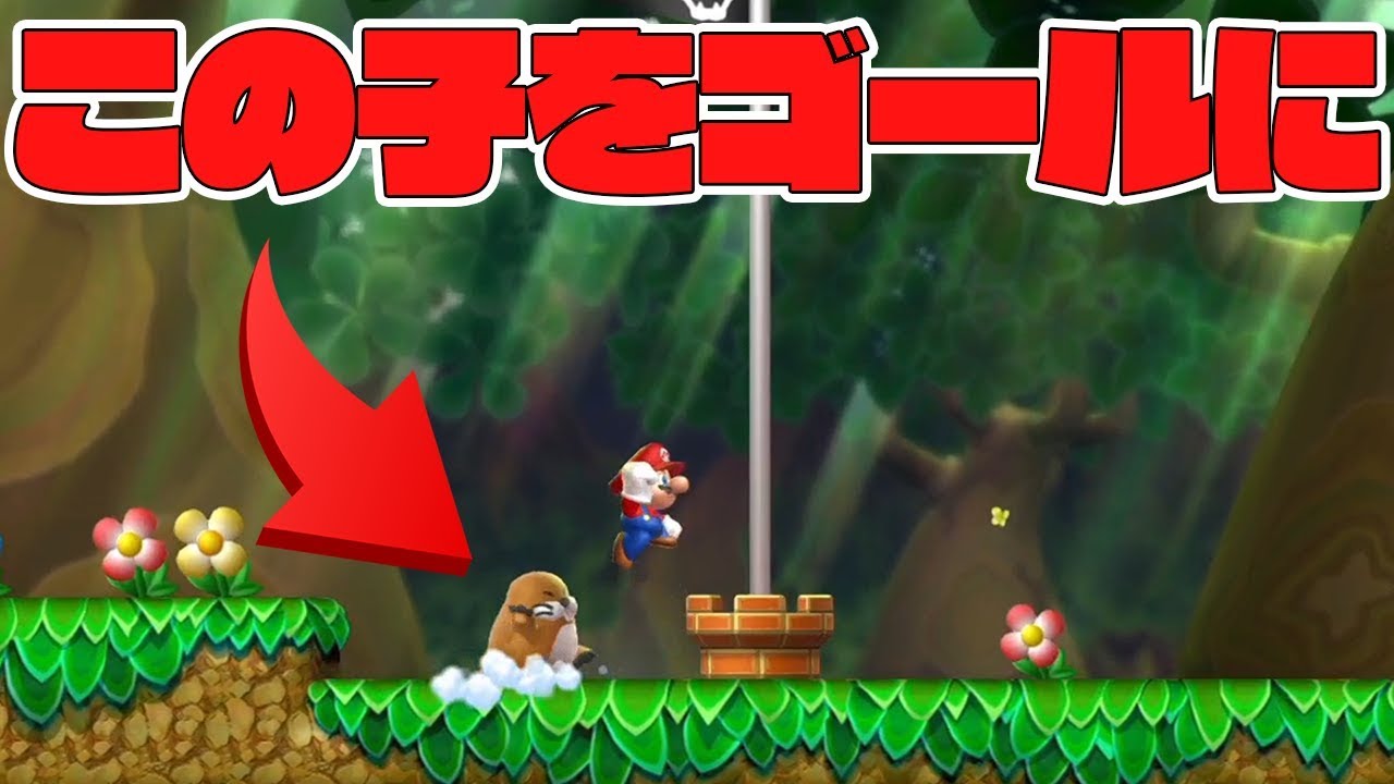 マリオ(プロフ見てください) チョロプーと一緒にゴールしないといけないww【New スーパー